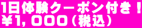 １日体験クーポン付き！ ￥１，０００（税込）